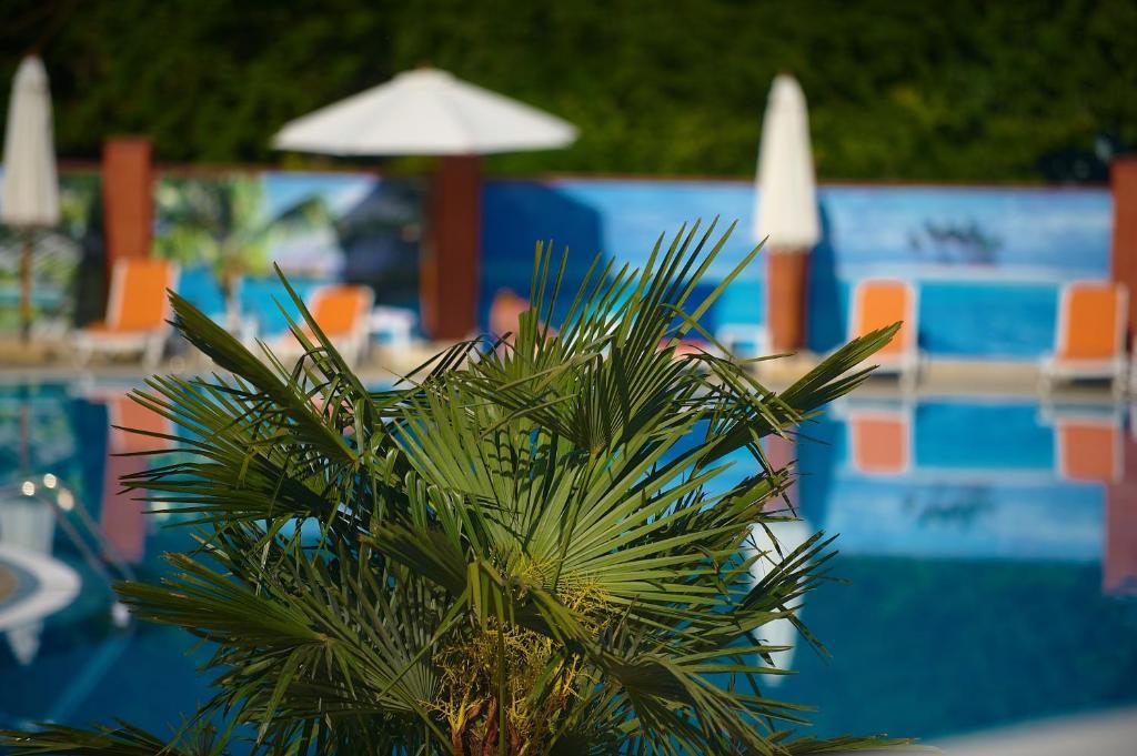 Grand-Marine Hotel & Spa Burlach'ya Balka Extérieur photo